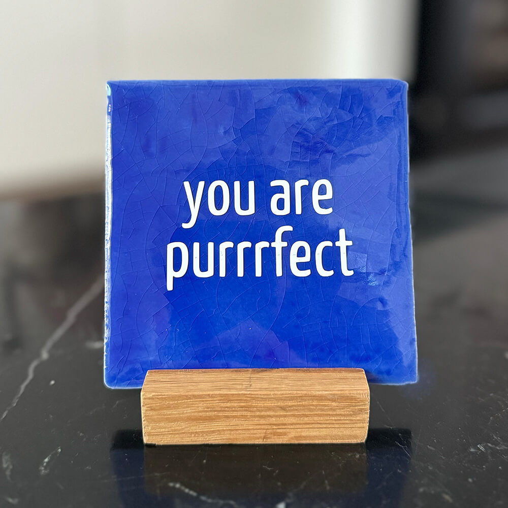 Quote Tegel - You are purrrfect - 10 x 10 cm