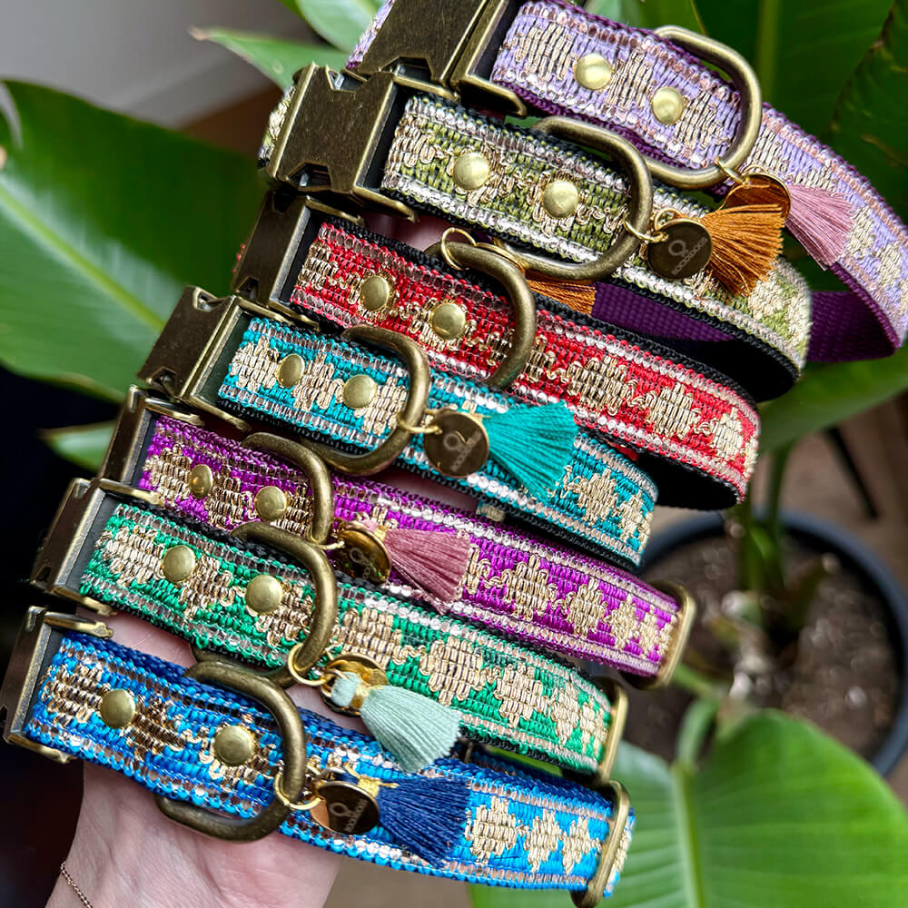 Rockxdogs - Halsband Glitter up! - Lilac