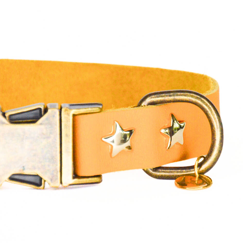 Rockxdogs - Leren halsband A star is born! - Okergeel