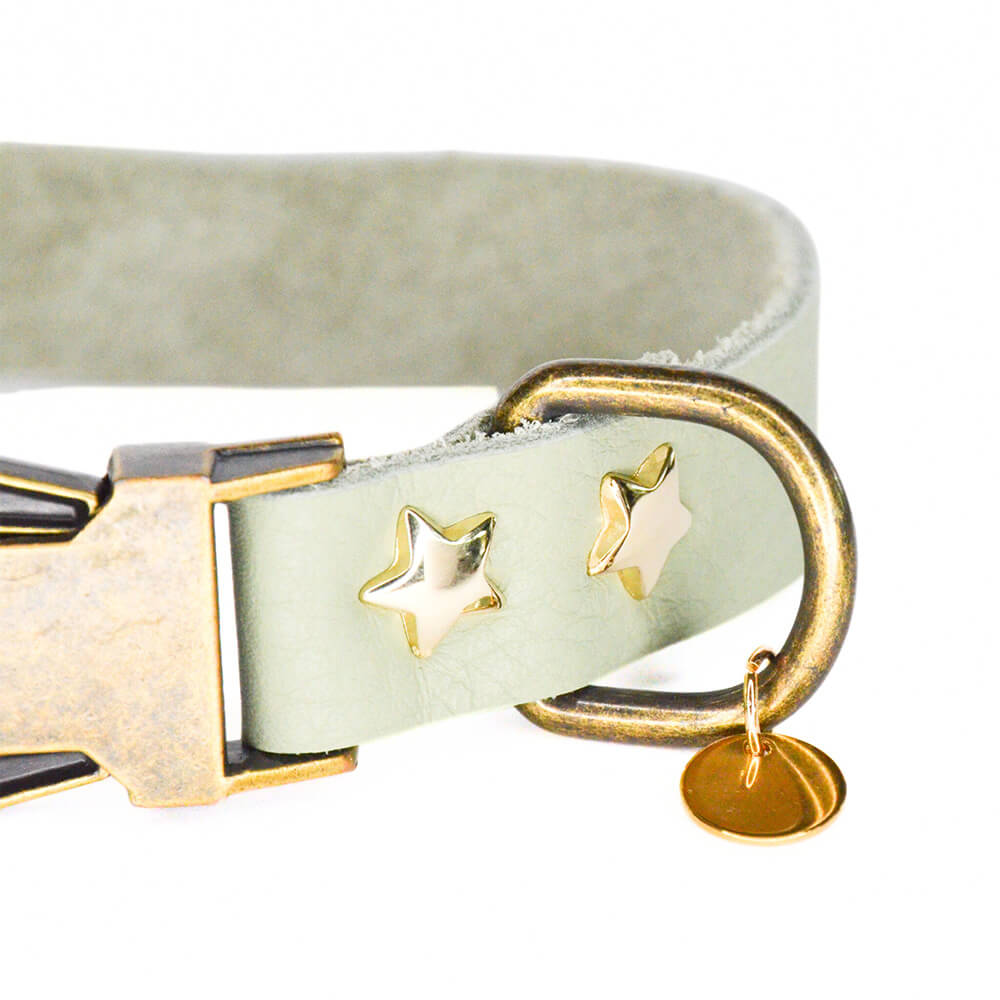 Rockxdogs - Leren halsband A star is born! - Pistache