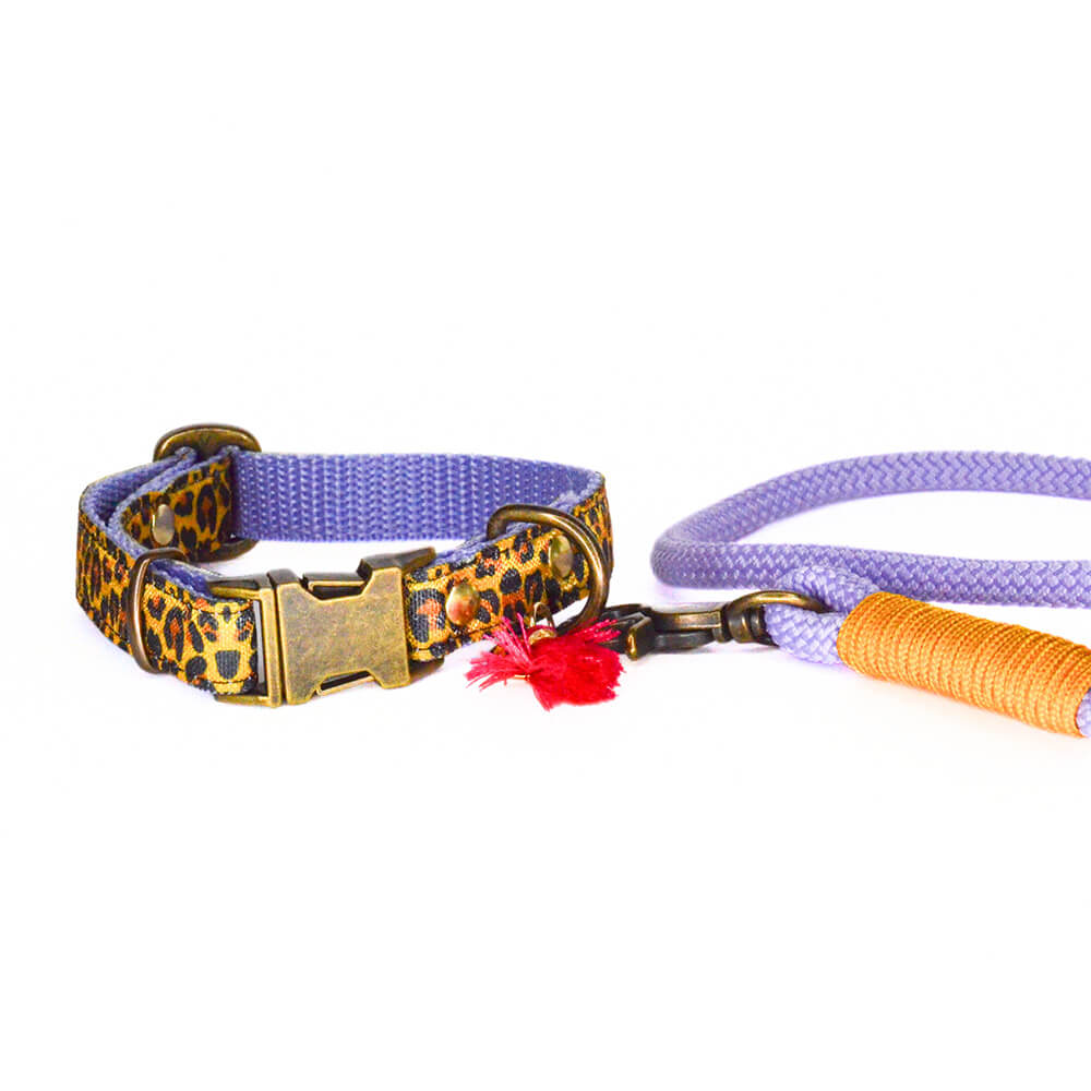 Rockxdogs - Halsband Go Wild! - Boho Yellow Panter