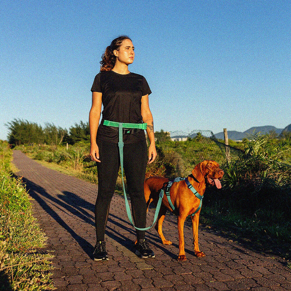 Zee.Dog Running Belt