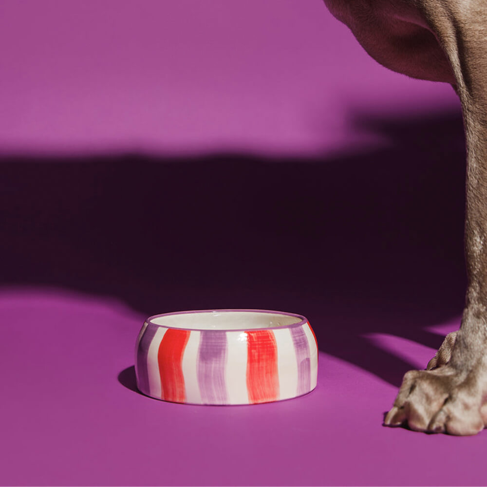DOGGUO - Stripe Dogbowl - Purple / Red