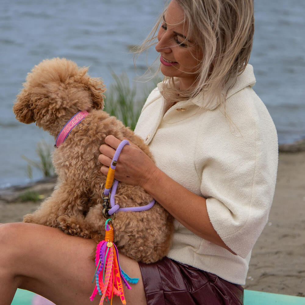 Rockxdogs - Halsband Go Wild! - Boho Tiger Lillie