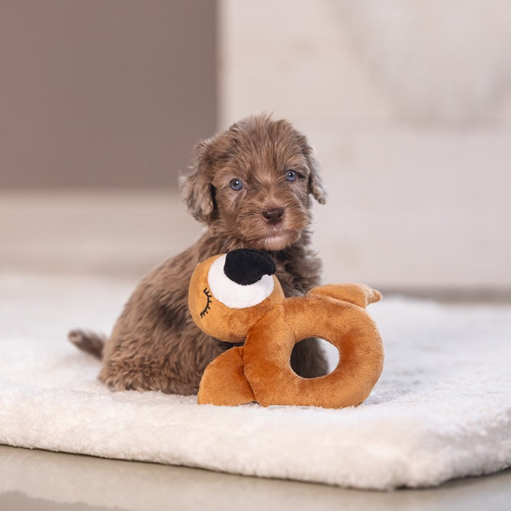 Beeztees - Puppy Rammelaar Flamy (18 cm)