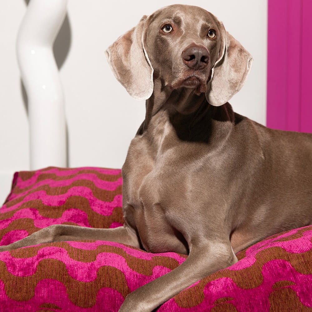 DOGGUO - Wavey Dog Bed - Brown / Pink