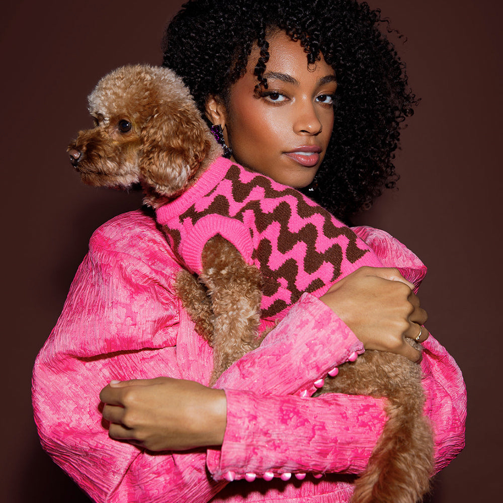 DOGGUO - Wavey Dog Sweater - Brown / Pink