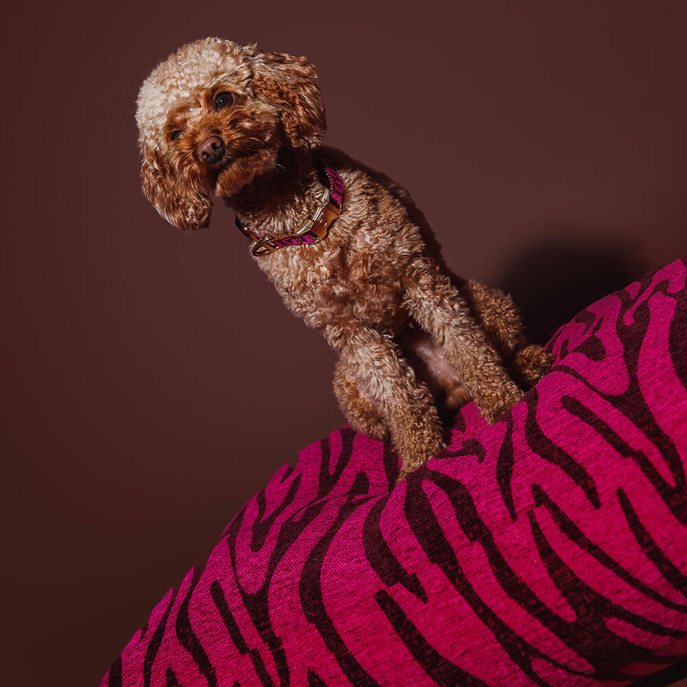 DOGGUO - Zebra Dog Bed - Bordeaux / Pink