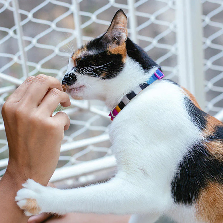 Zee.Cat - Katten halsband Prisma