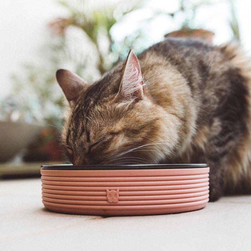 Zee.Cat - Katten voer- en drinkbakje Terracotta
