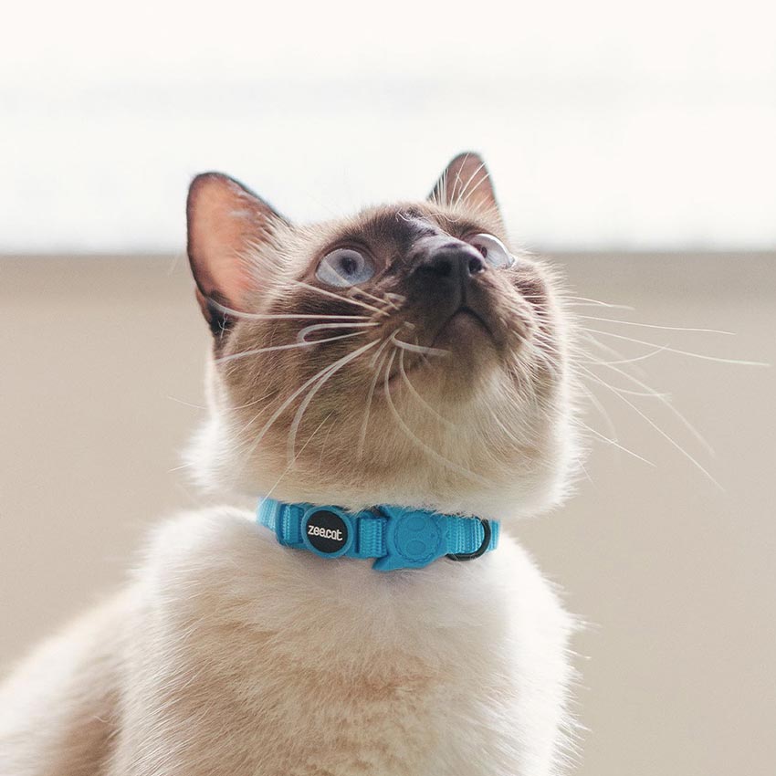 Zee.Cat - Katten halsband Ultimate Blue
