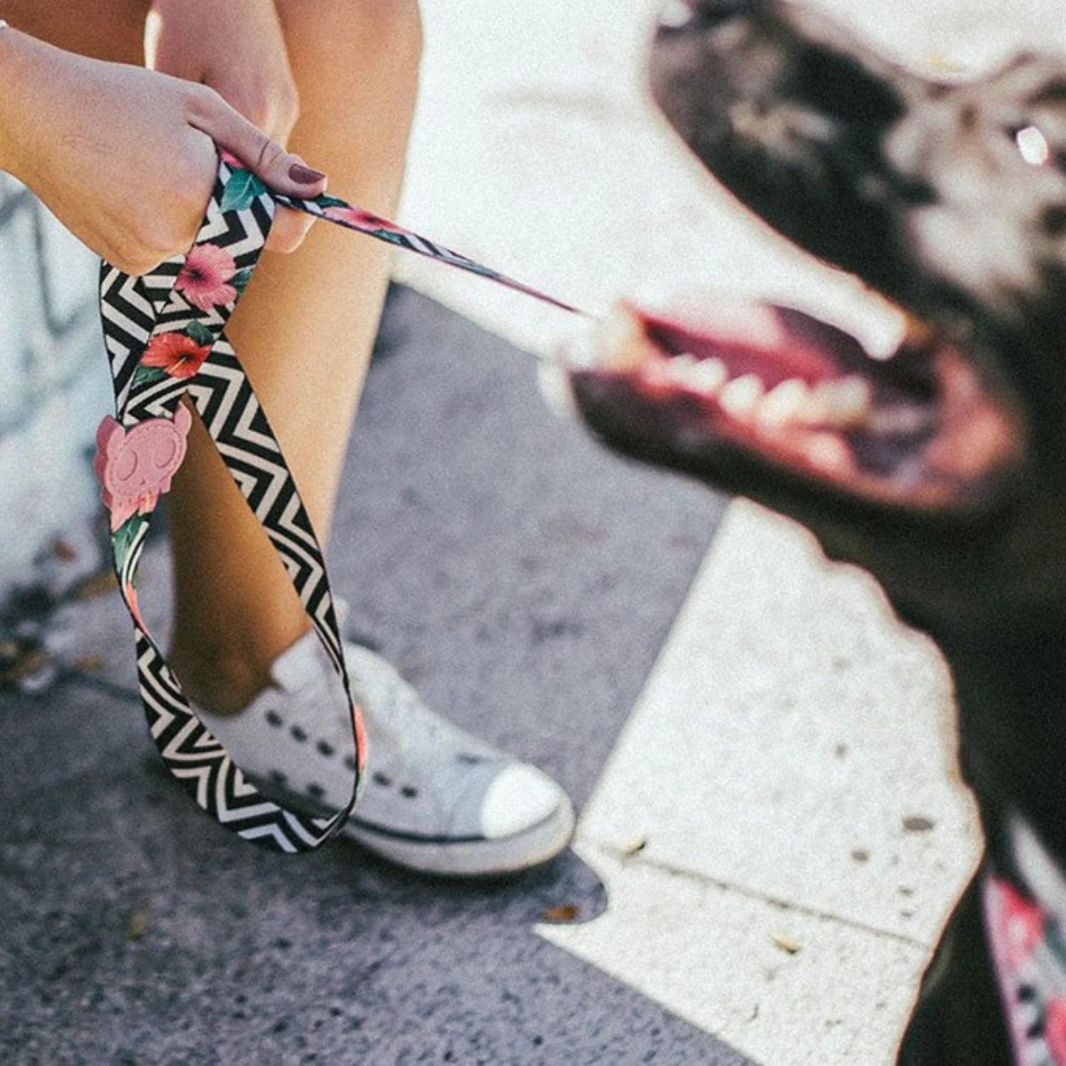 Zee.Dog - Riem Mahalo