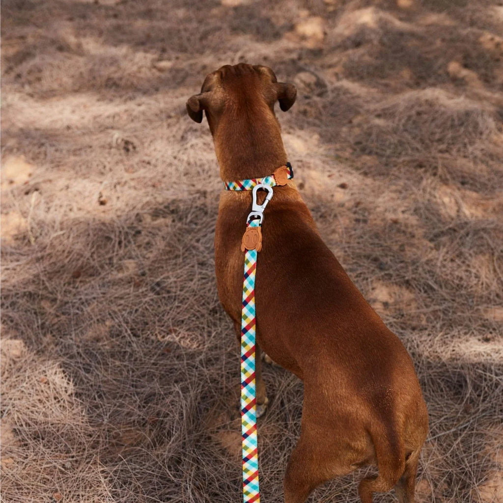 Zee.Dog - Riem Phantom