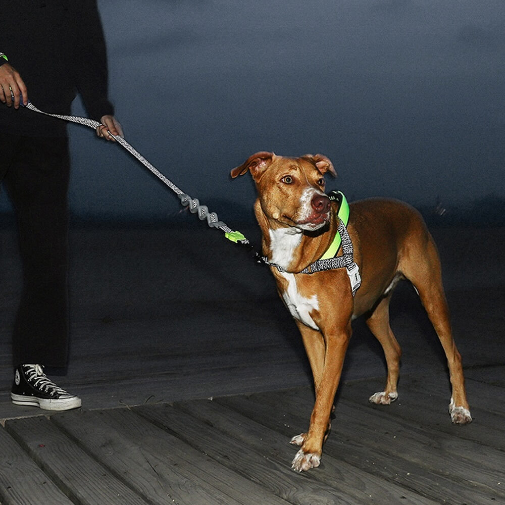 Zee.Dog - Nox Softer Walk harnas