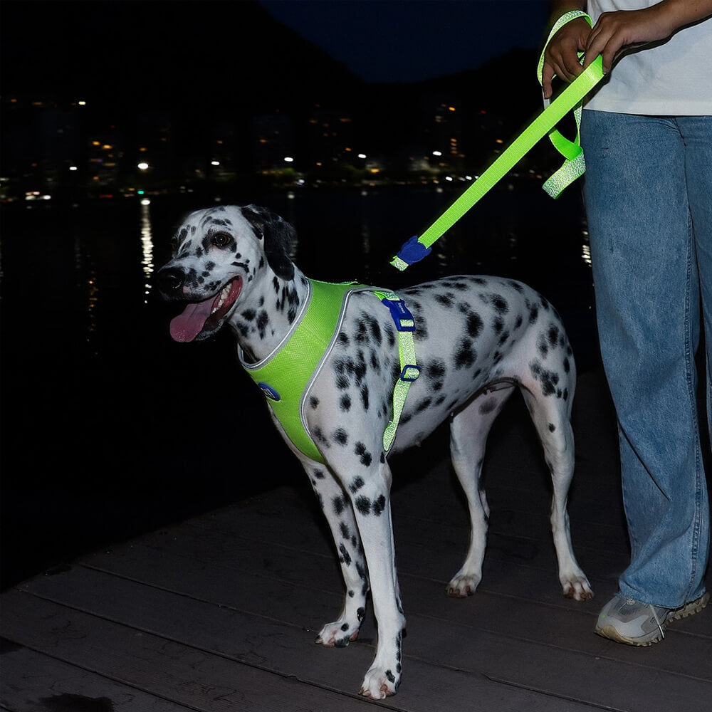 Zee.Dog - Riem Nox Lumen