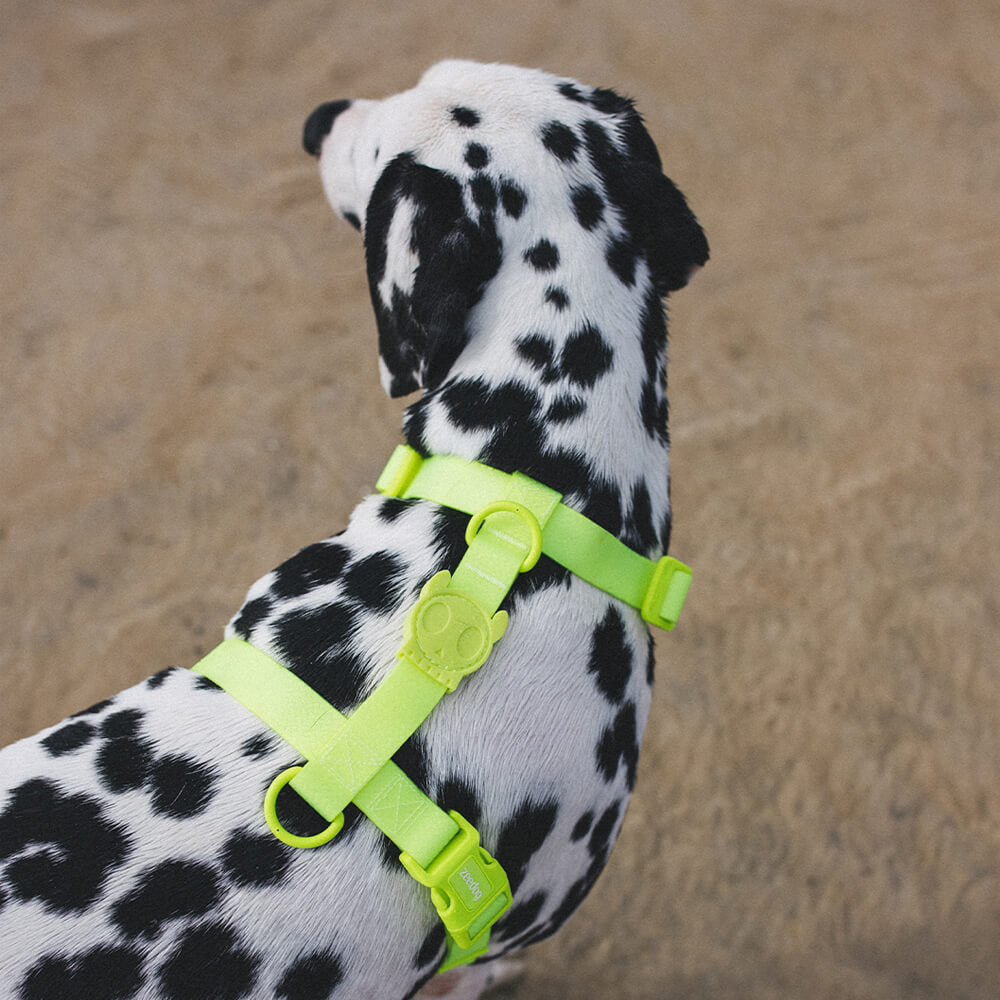 Zee.Dog - H-harnas NeoPro Lime