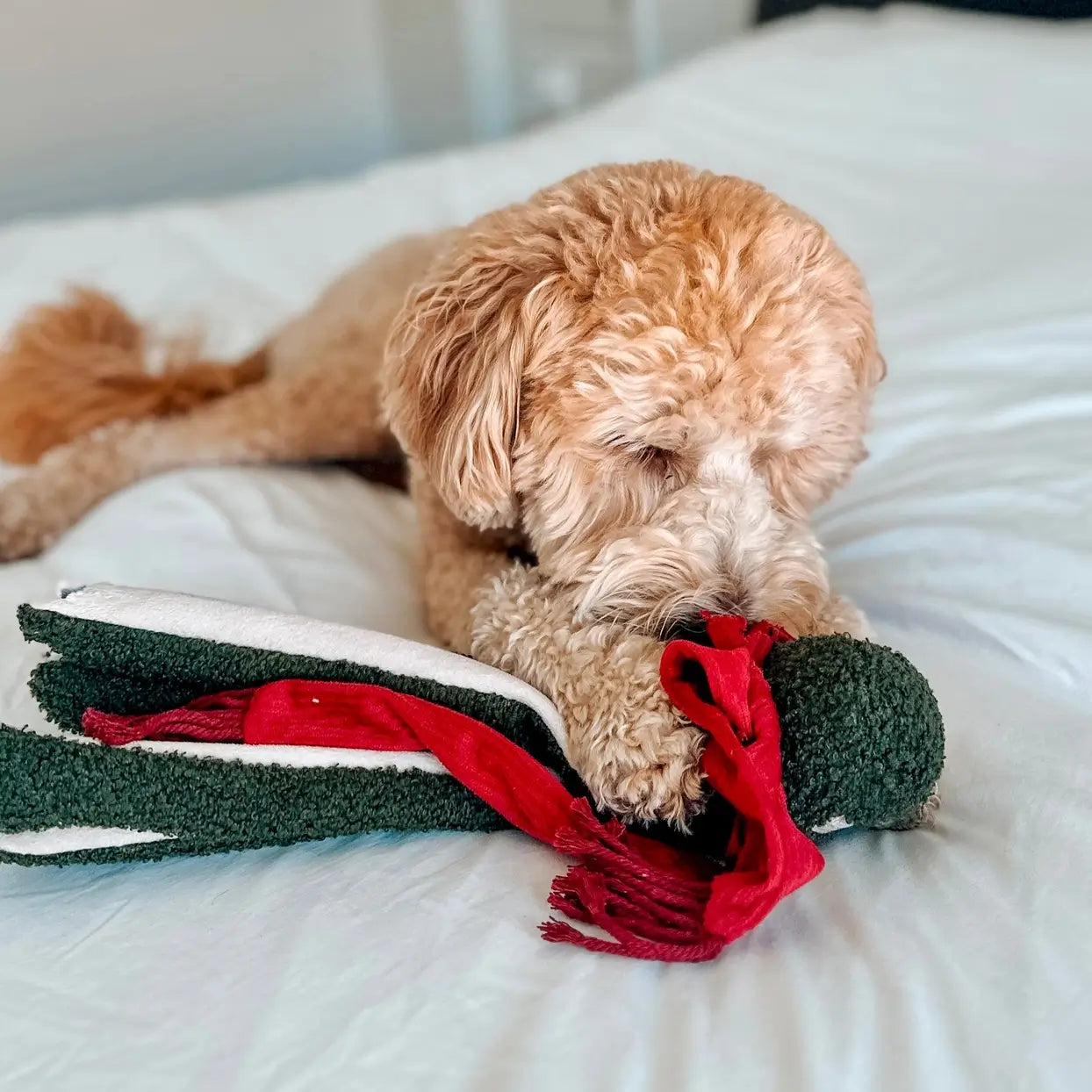 Lambwolf Collective - Tako (35 cm)