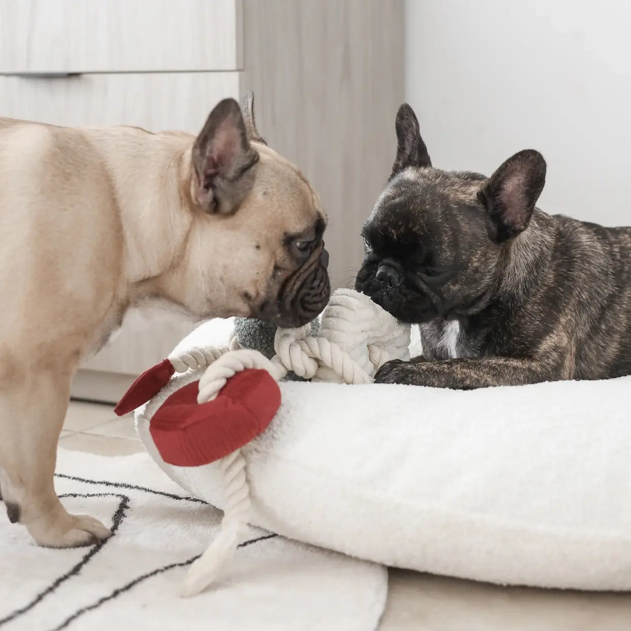 Lambwolf Collective - Xmas Blocs (75 cm)