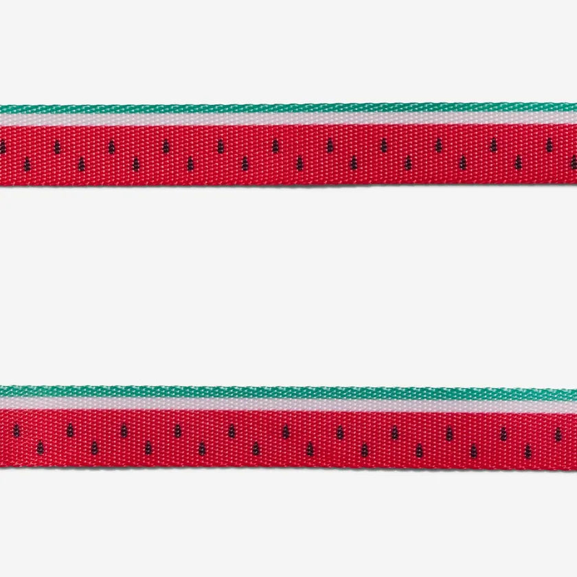 Zee.Cat - Katten halsband Lola