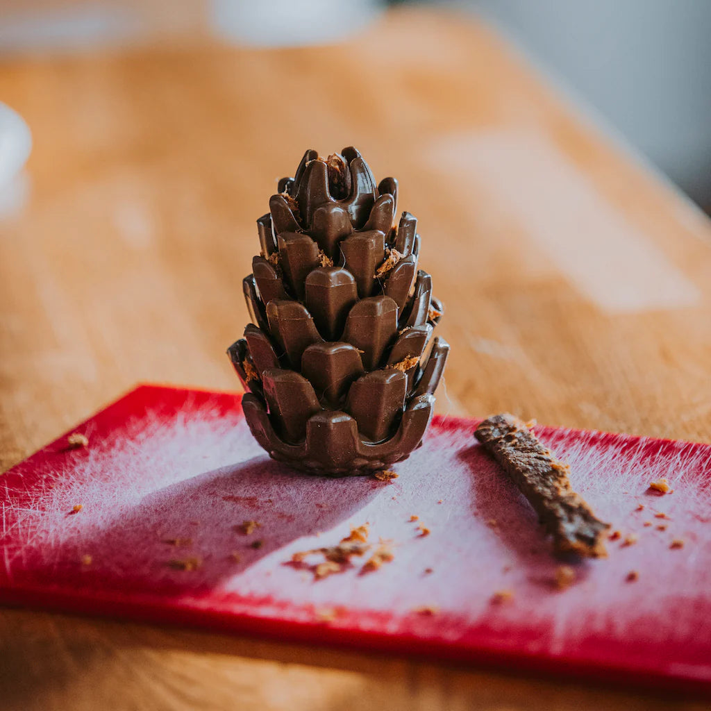 Loblola bij Neusje van Geusje - Loblolly Pinecone