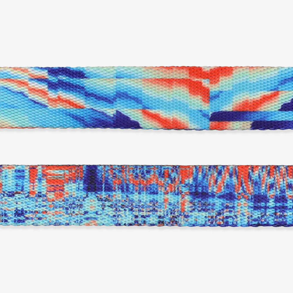 Zee.Dog - Riem Glitch Error #404