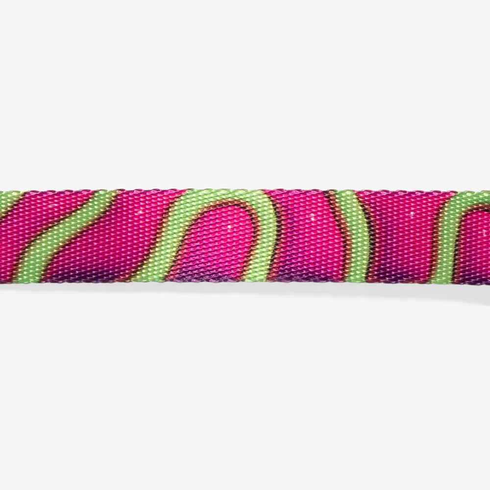 Zee.Dog - Halsband H3D Jelly