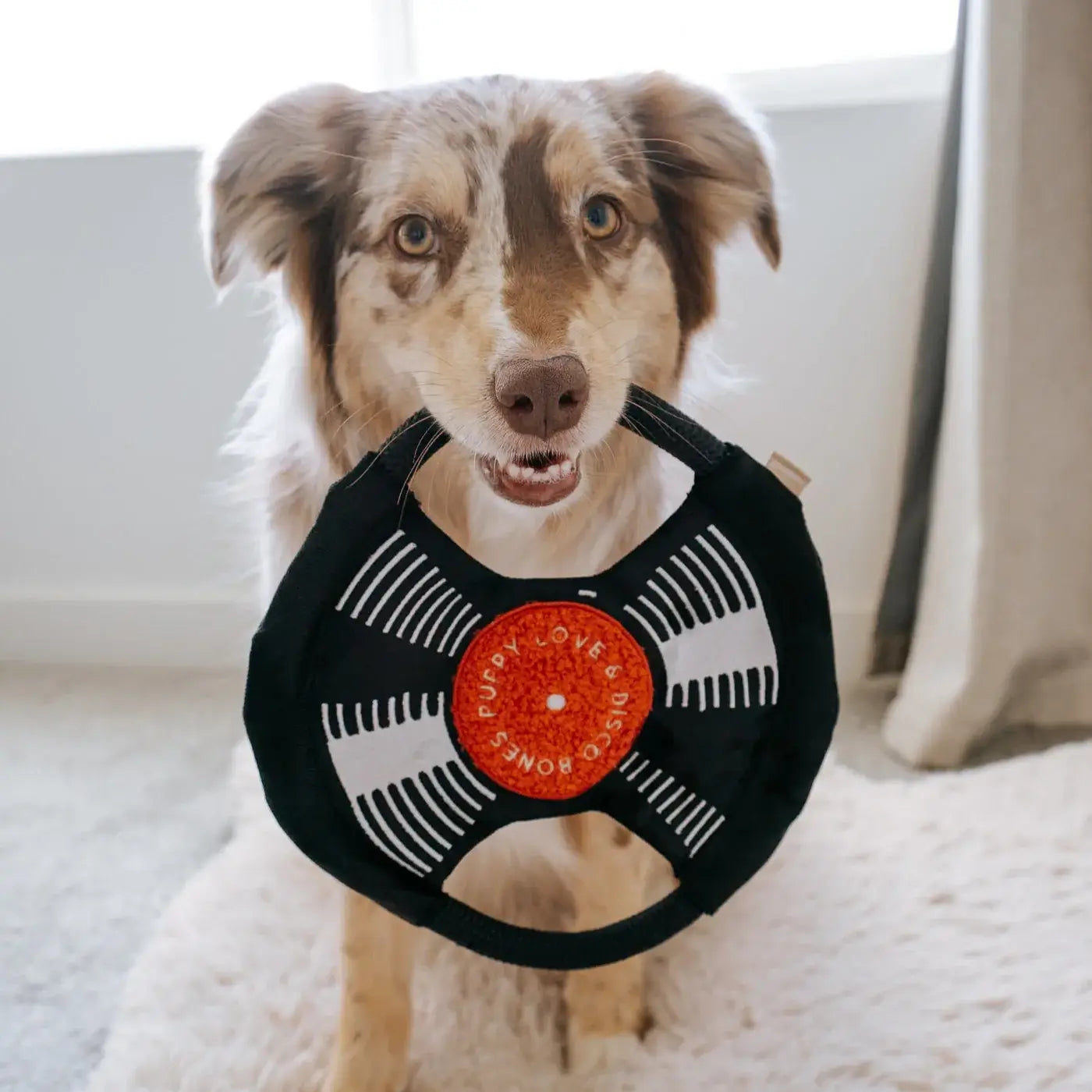 Lambwolf Collective - Bark To Beat