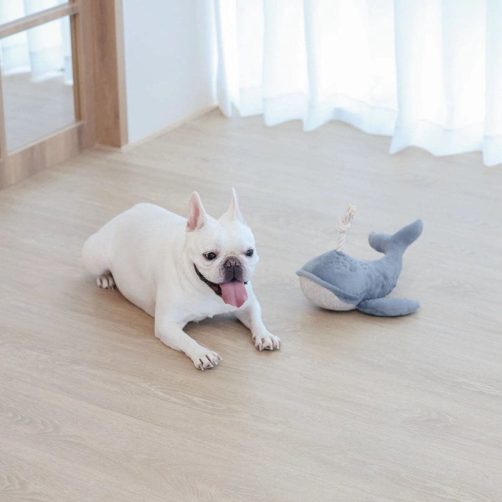 Lambwolf Collective - Wally the Whale (25 cm)