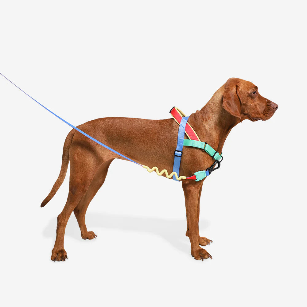 Zee.Dog - Mellow Softer Walk harnas