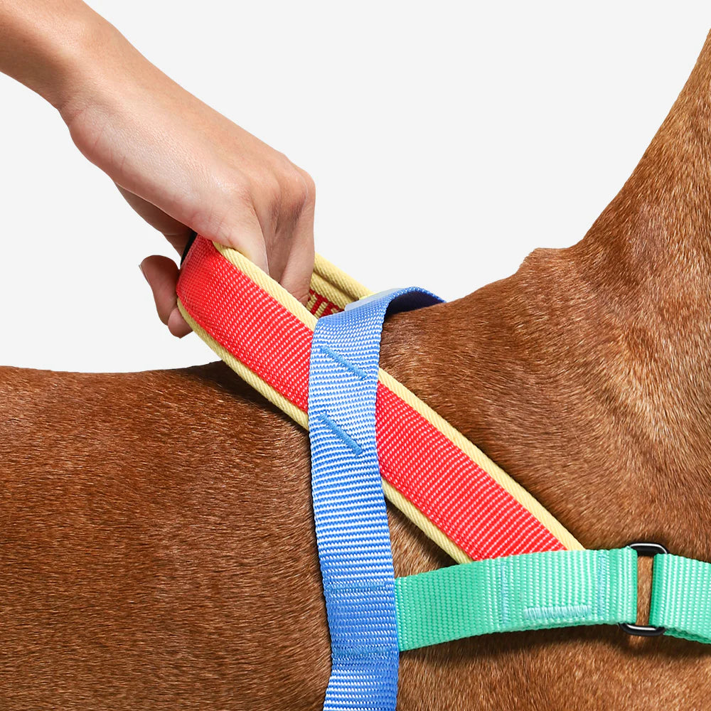 Zee.Dog - Mellow Softer Walk harnas