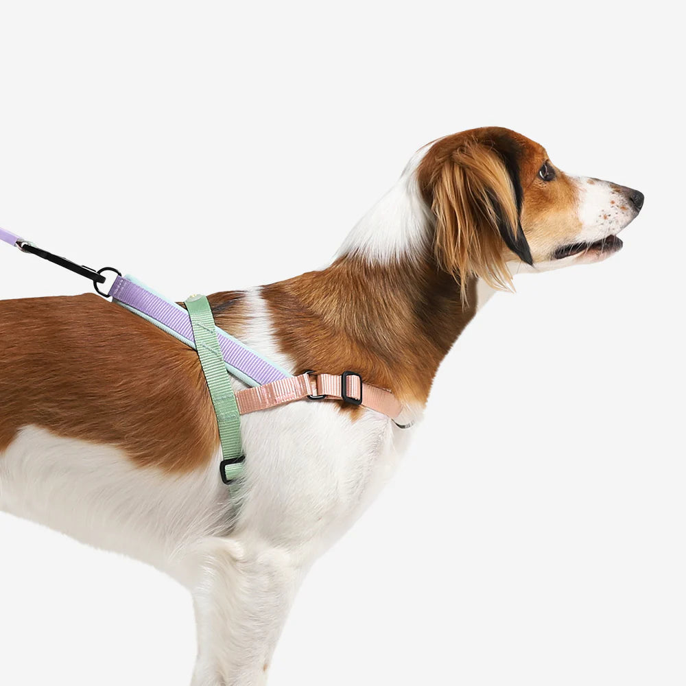 Zee.Dog - Peach Softer Walk harnas