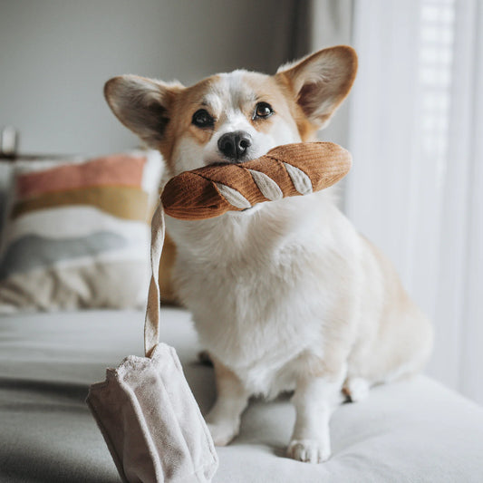 Lambwolf Collective - Mini Baguette (18 cm)