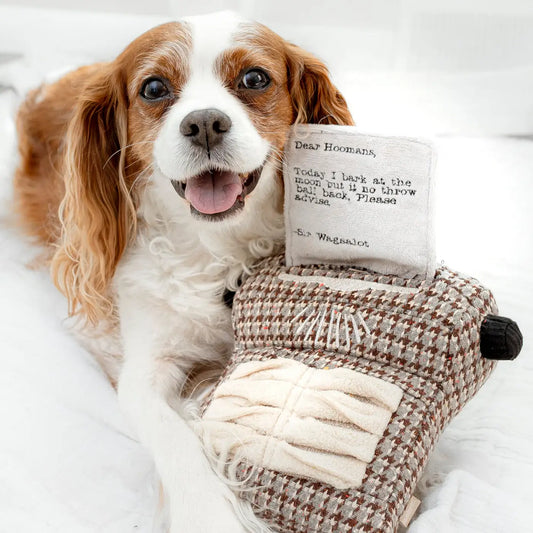 Lambwolf Collective - Typewriter