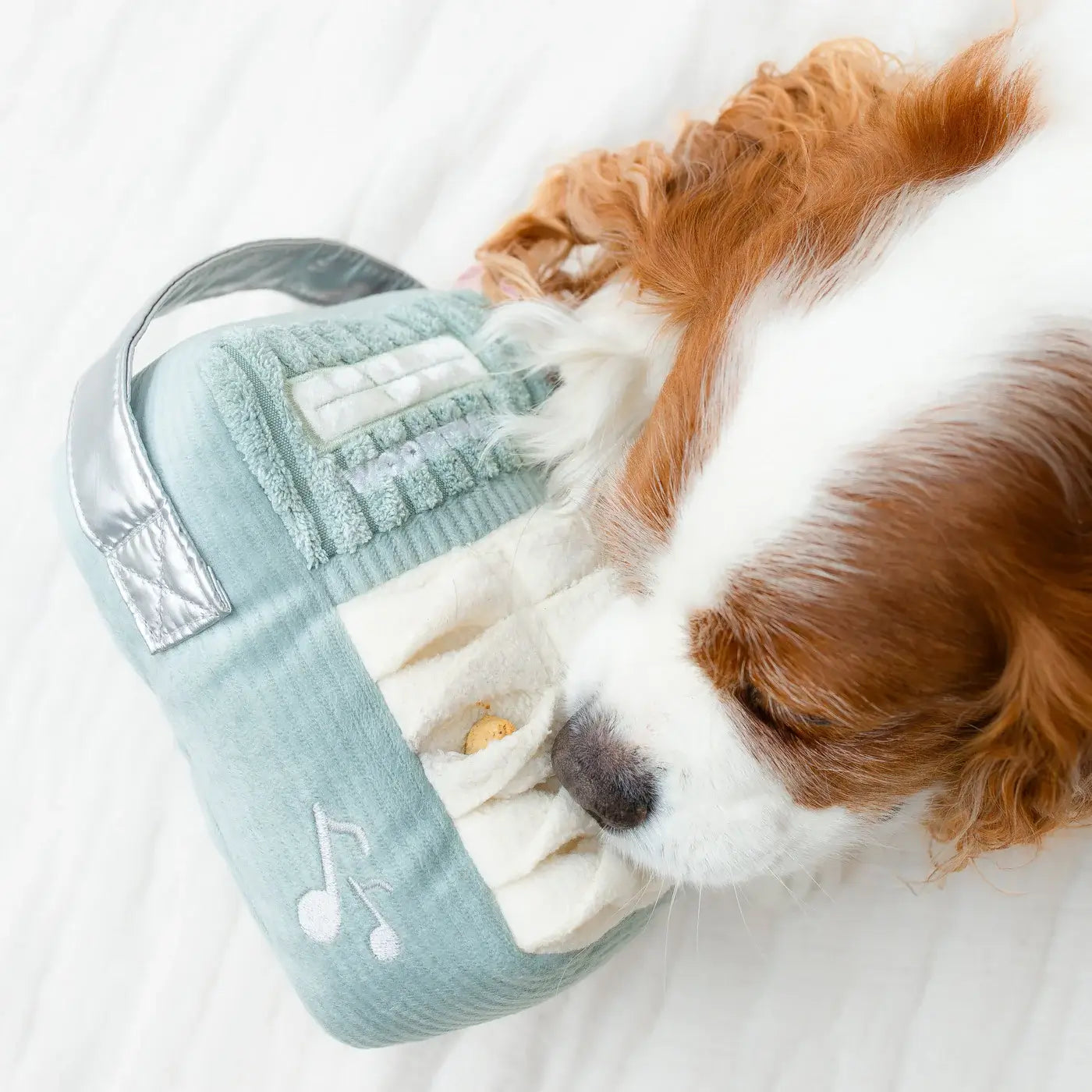 Lambwolf Collective - WOOF FM