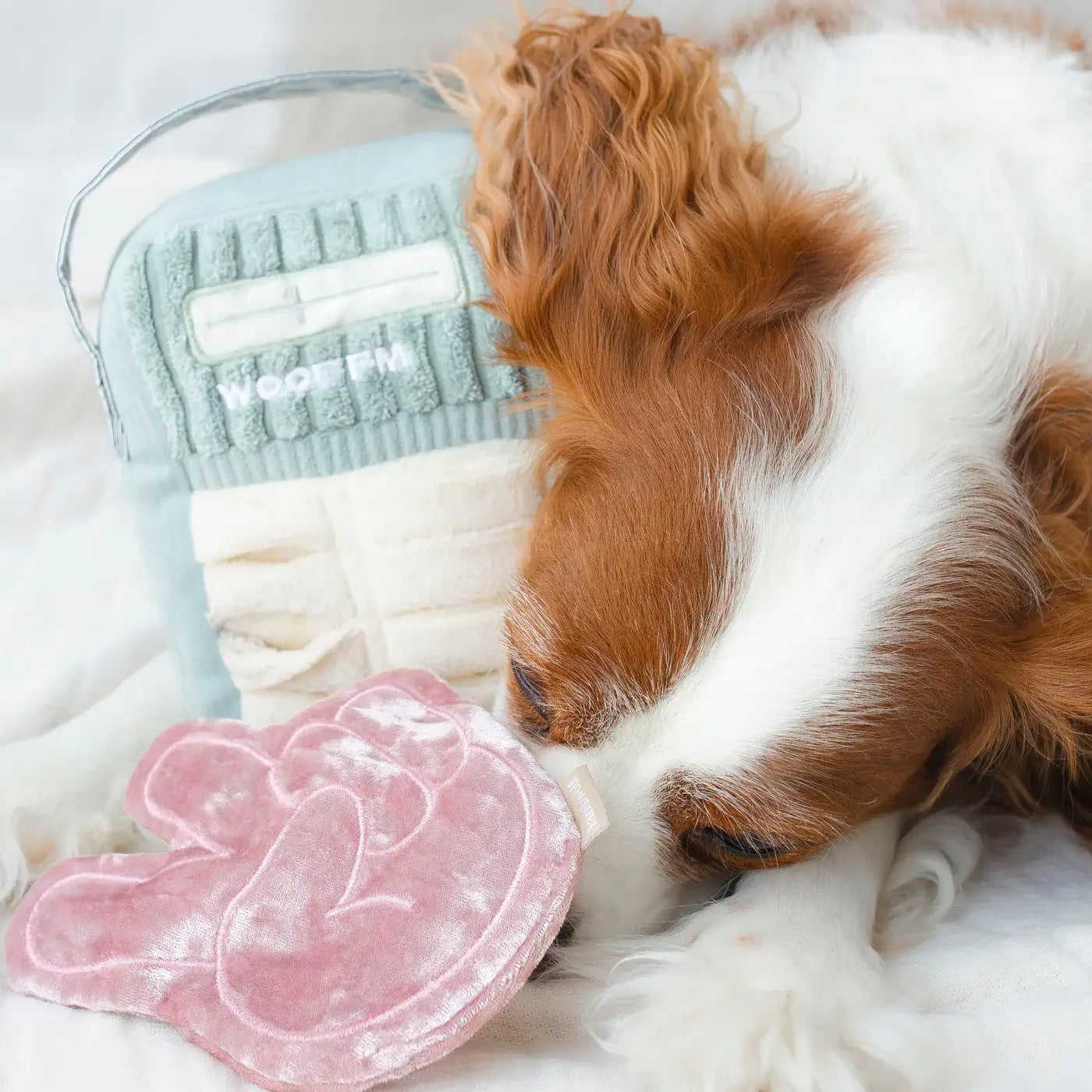 Lambwolf Collective - WOOF FM