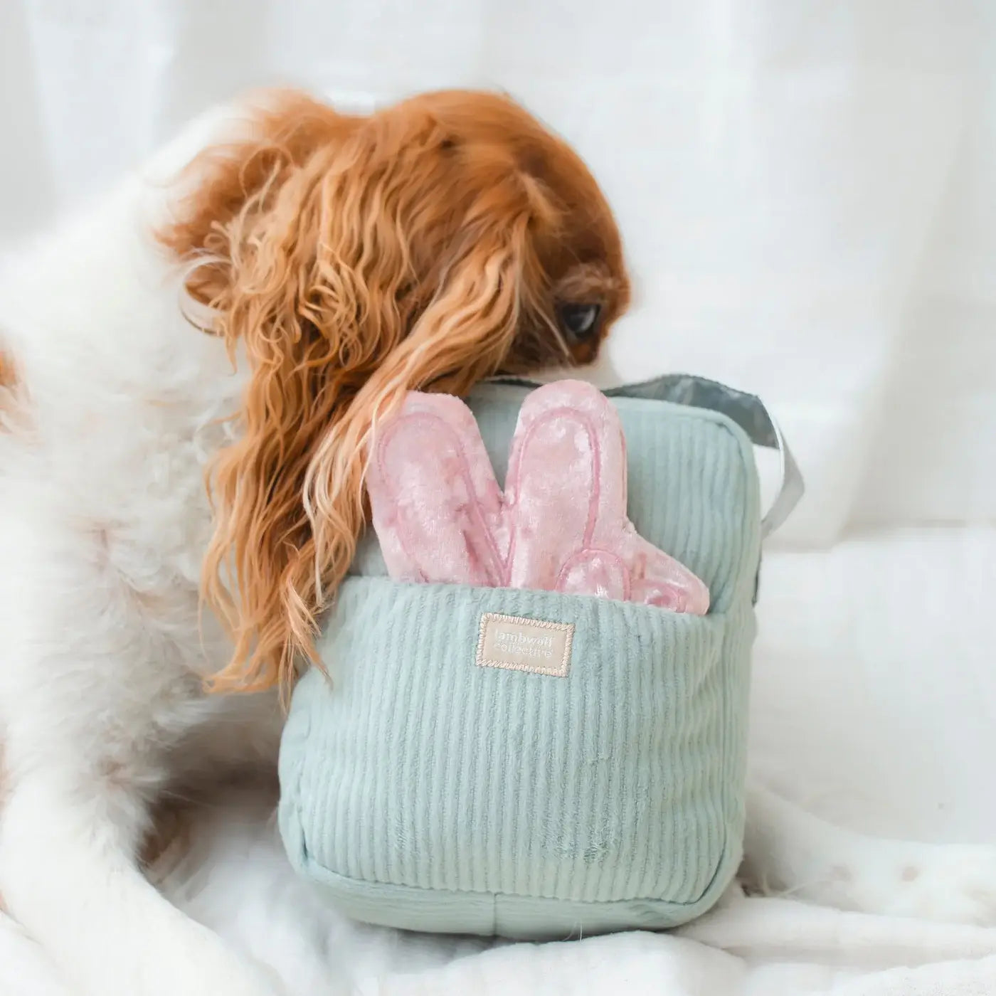 Lambwolf Collective - WOOF FM