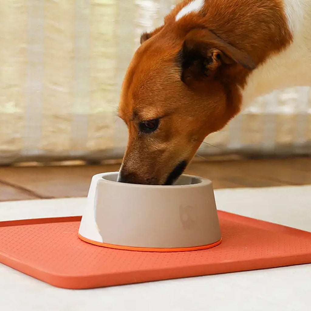 Zee.Dog - Classic Bowl Desert