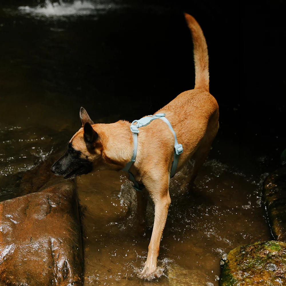 Zee.Dog - H-harnas NeoPro Cloudy