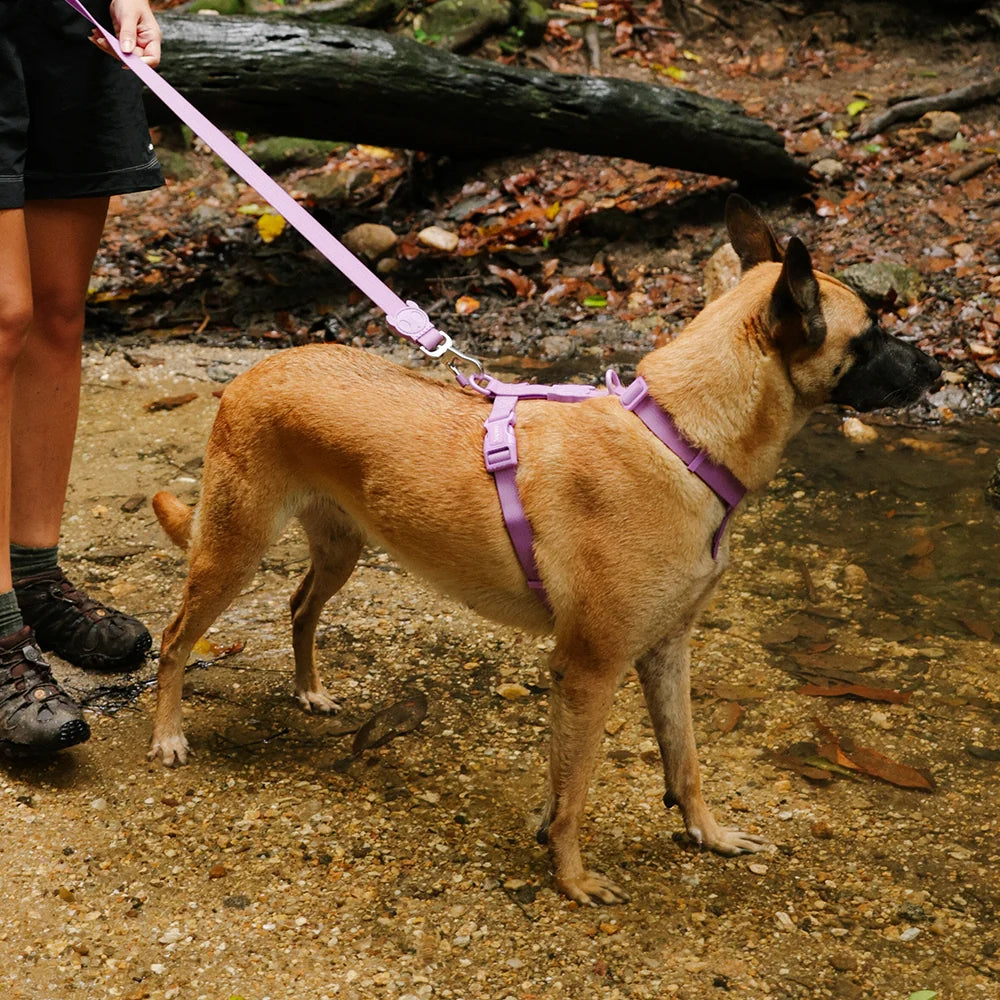 Zee.Dog - H-harnas NeoPro Ultra Violet