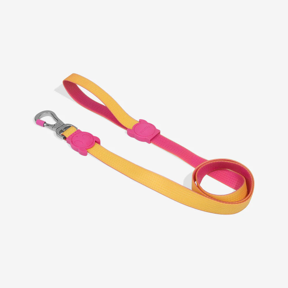 Zee.Dog - NeoPro Lyra Riem