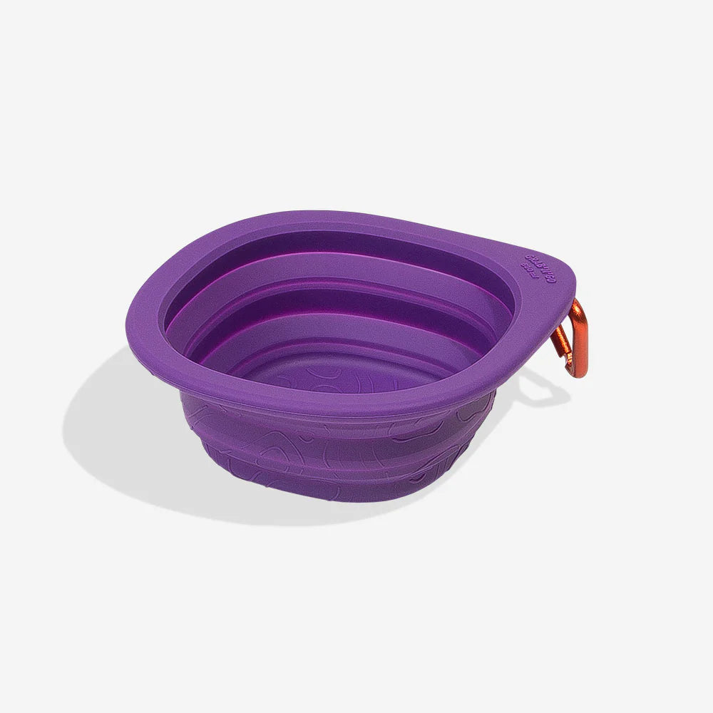 Zee.Dog - Go Bowl Peak