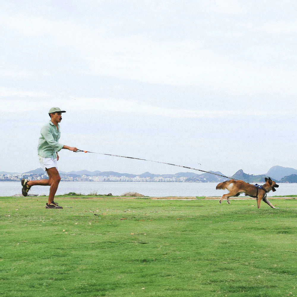 Zee.Dog - Long Leash Leopard