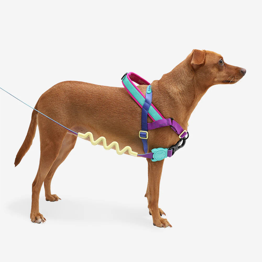 Zee.Dog - Shockwave Softer Walk harnas