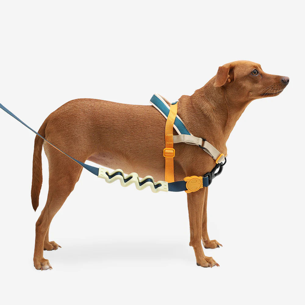 Zee.Dog - Voyage Softer Walk harnas