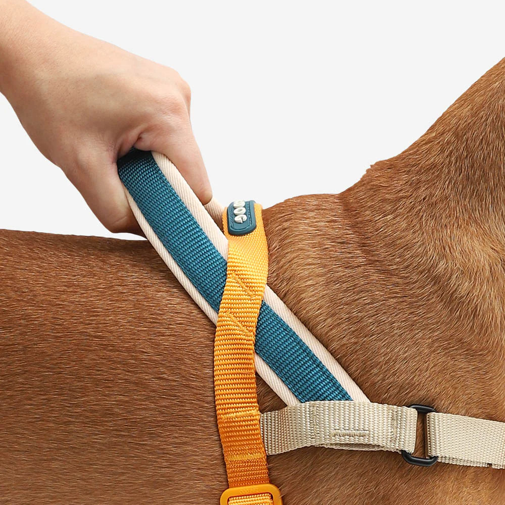 Zee.Dog - Voyage Softer Walk harnas