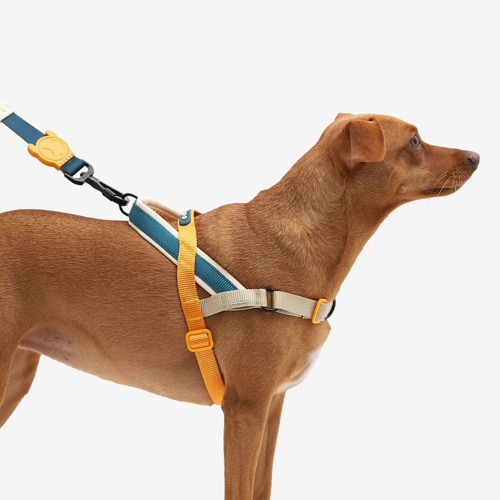 Zee.Dog - Voyage Softer Walk harnas