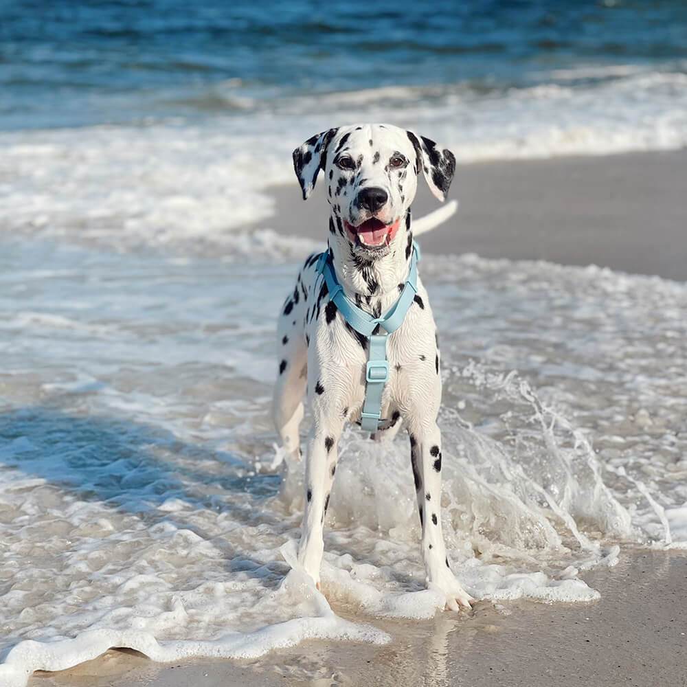 Zee.Dog - H-harnas NeoPro Cloudy