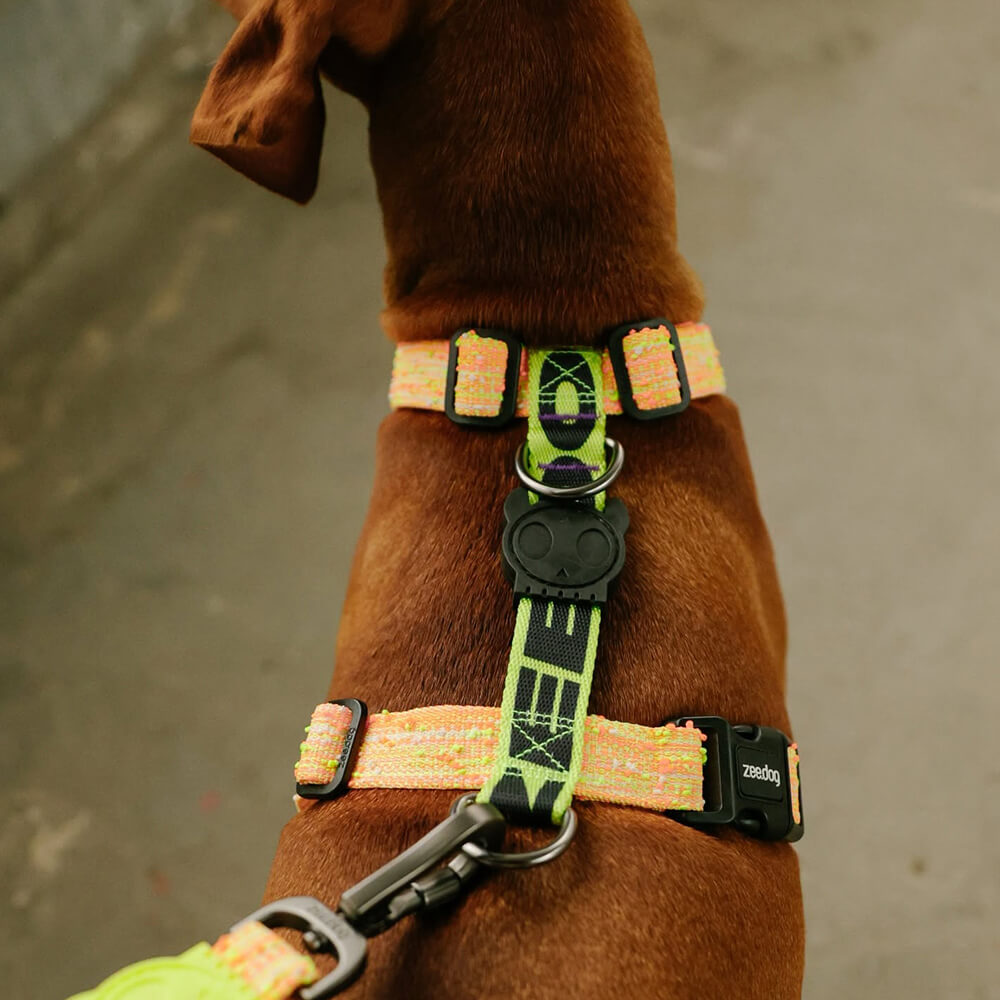 Zee.Dog - H-harnas Fuse Bikr