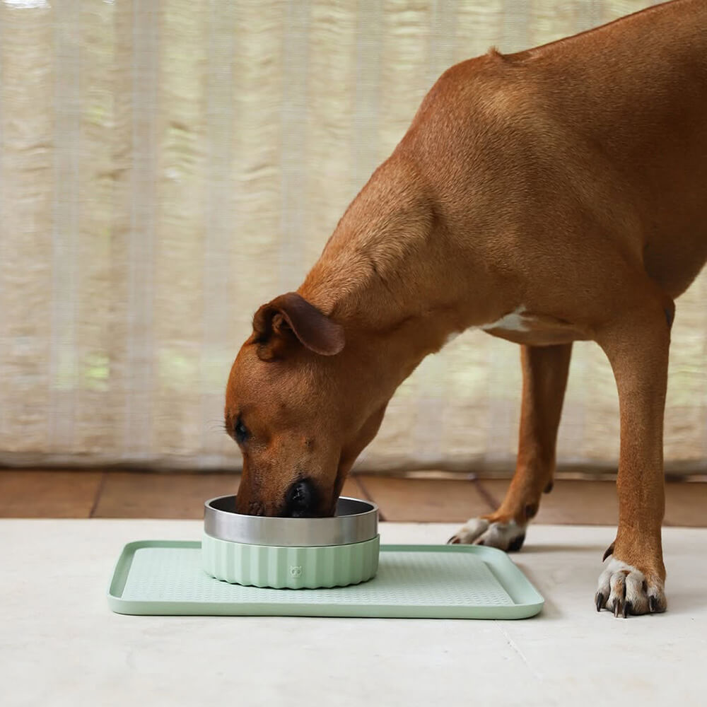 Zee.Dog - Zee.Mat Voerbak mat Sage