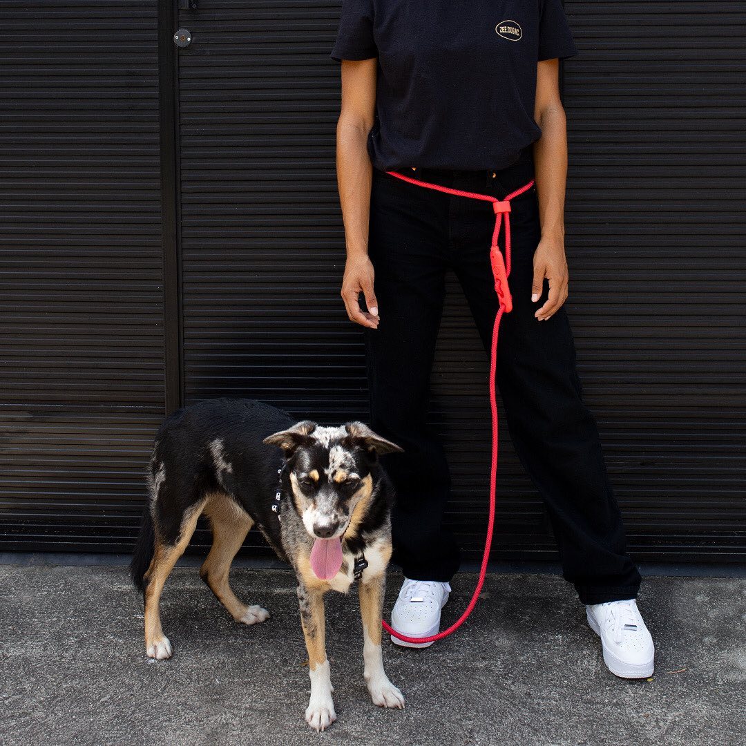 Zee.Dog Handsfree Riem Neon Coral